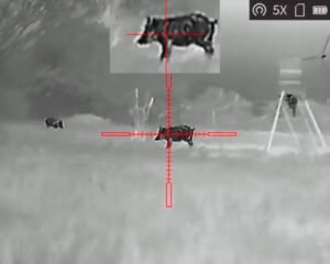 entry-level thermal scope
