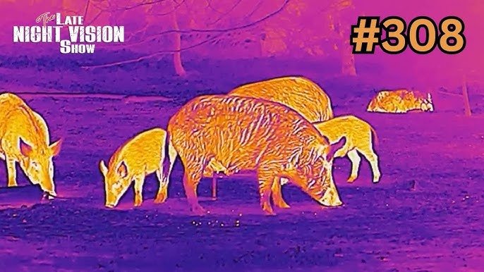 Thermal Imaging for Hunting