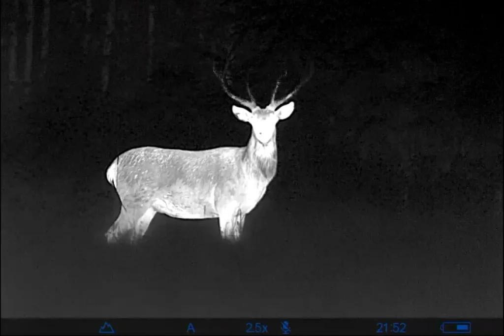 Wärmebildkamera für die Jagd